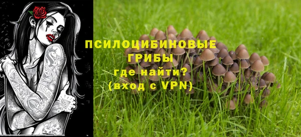 гашик Балабаново